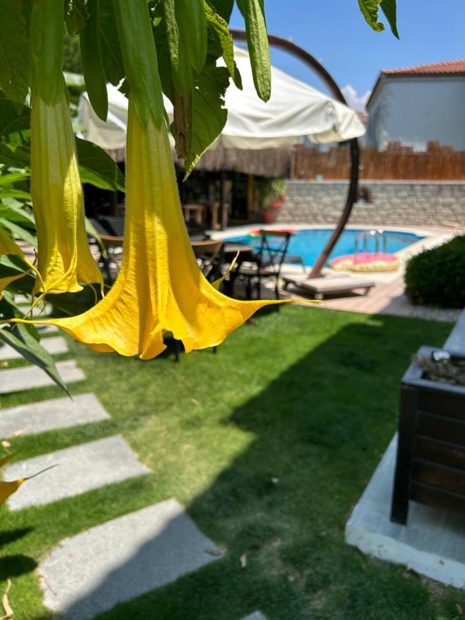 Pupa Alacati Butik Otel Çeşme Exterior photo